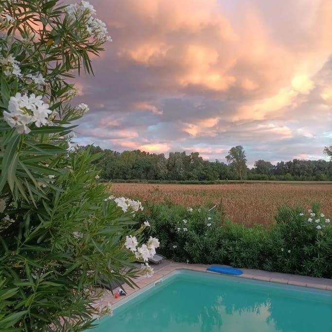 Villa Malisa La Voulte-sur-Rhone 外观 照片
